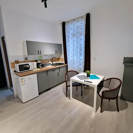 Apartment Key In Main Square Brasov
